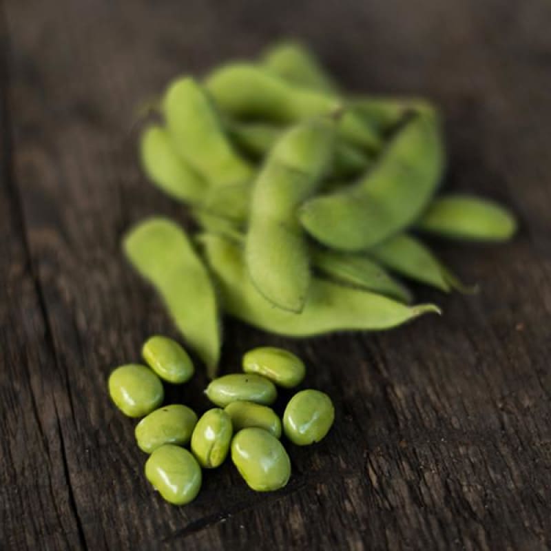 Soya Bean 'Envy' (Glycine max), The Delicious, Vegetables