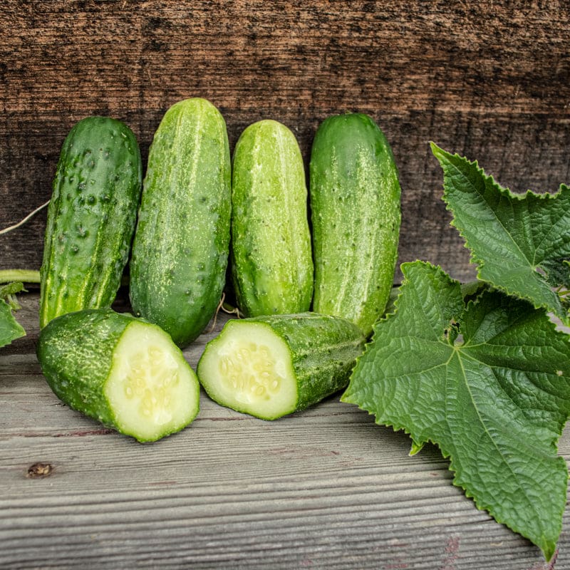 Organic Mini Cucumbers - SUNSET Grown. All rights reserved.