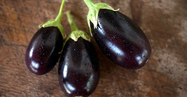 Eggplant Brinjal Aubergine - a nightshade of many names