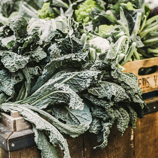 Kale, Cabbage at the farmers market