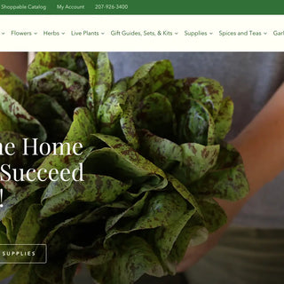 Home page of Pinetree Garden Seeds, showing a gardener holding a bundle of green lettuce.