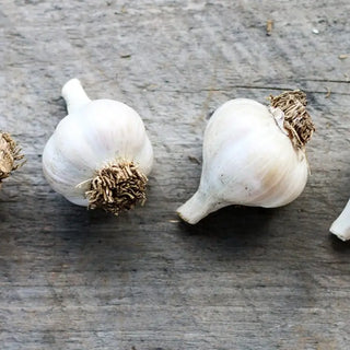 How to: Planting Your Hardneck Garlic Bulbs in the Fall