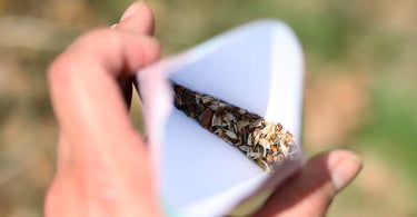 A hand holding an open package of wildflower garden seeds.