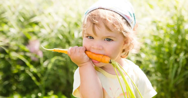 Little girl in a sunny garden eating a fresh carrot.