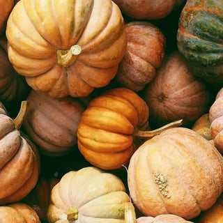 Pinetree Owner Jef’s Pumpkin & Squash Puree Recipe