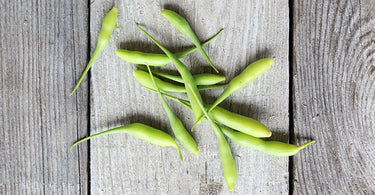 Freshly garden grown radish pod seeds.