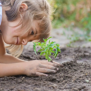 The Ultimate Gardening Guide: Basic Gardening Tips for Beginners from Pinetree Garden Seeds Customers