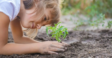 The Ultimate Gardening Guide: Basic Gardening Tips for Beginners from Pinetree Garden Seeds Customers