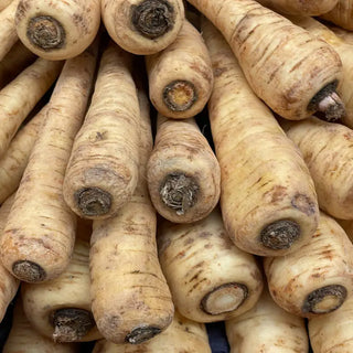 Parsnip Seeds