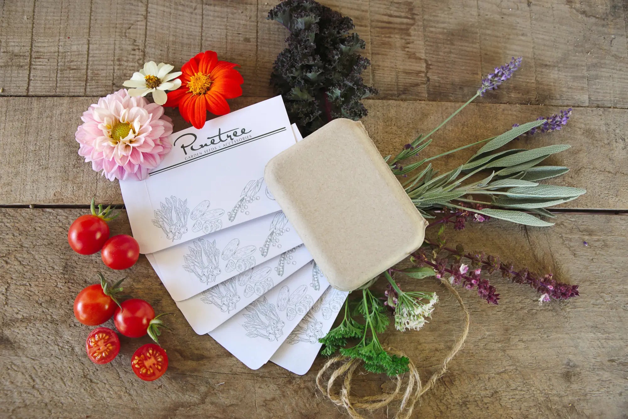 Seed collections posed with tomatoes, cosmos, herbs, sage and pretty compostable packaging