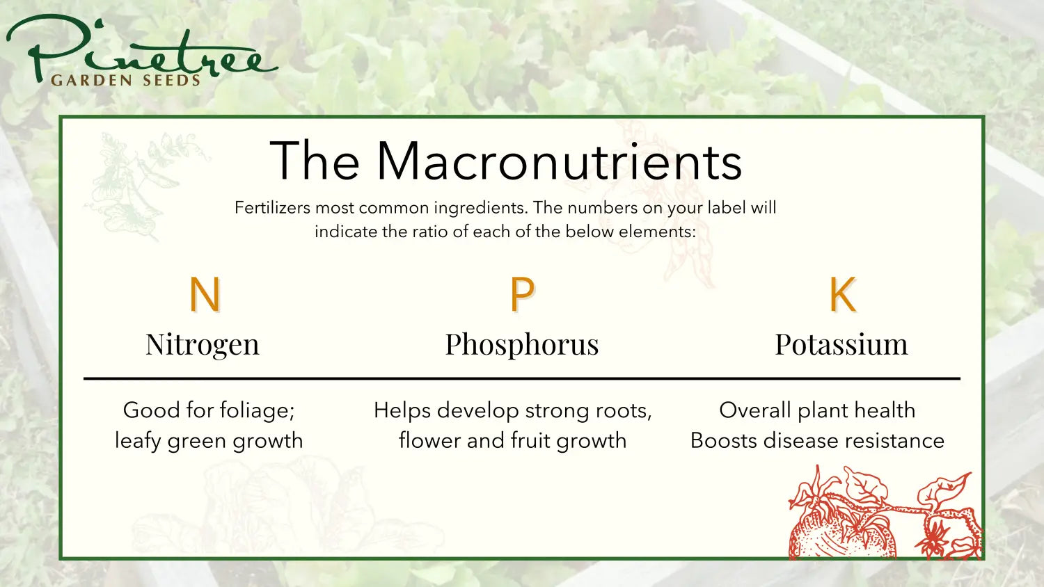 The macronutrients in fertilizer are Nitrogen, Phosphorus, and Potassium