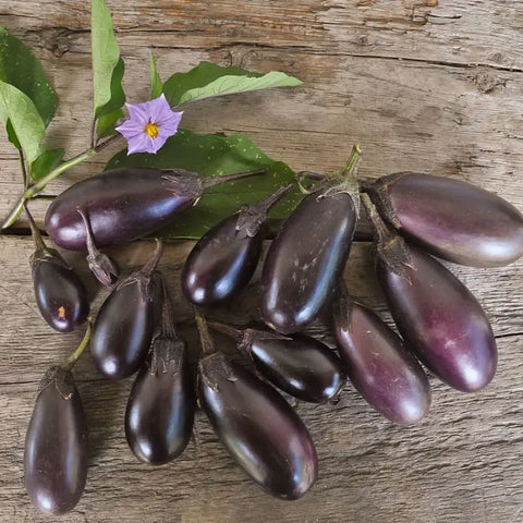 Baby Eggplants