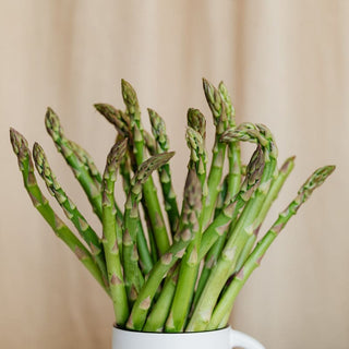 Asparagus ’Millenium’ - Spring