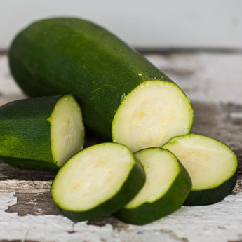 Black Zucchini Summer Squash (Heirloom 50 Days) - Vegetables