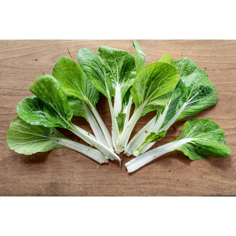 Bopak Pak Choi (Organic F1 Hybrid 50 Days) - Vegetables