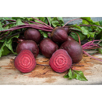 Boro Beet (Organic 50 Days) - Vegetables