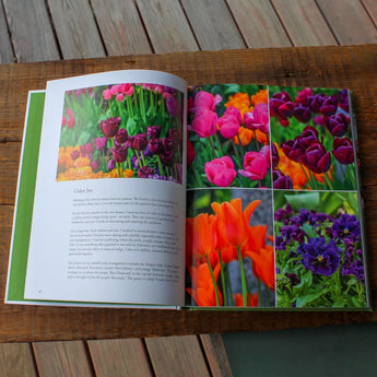 Containers in the Garden - Books