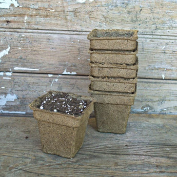 Cow Pots 3 Square (25 count) - Supplies