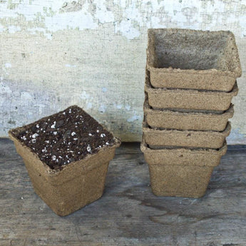 Cow Pots 4 Square (25 count) - Supplies