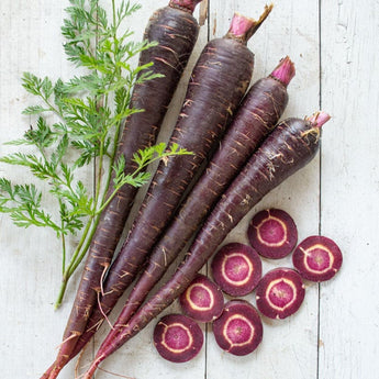 Deep Purple Carrot (F1 Hybrid 72 Days) - Vegetables