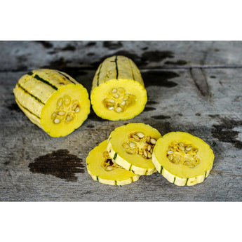 Delicata Squash (Organic Heirloom 97 Days) - Vegetables