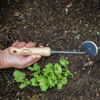 DeWit Disc Weeder - Garden Supplies