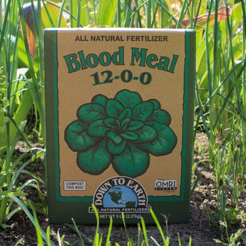 Organic blood meal all natural fertilizer.