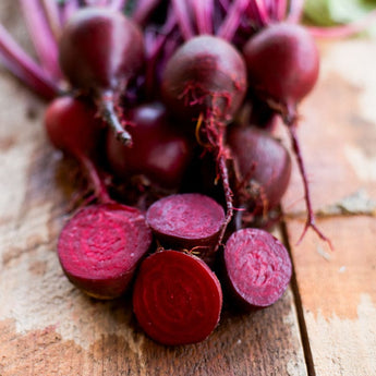 Early Wonder Tall Top Beet (Heirloom 50 Days) - Vegetables