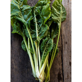 Fordhook Swiss Chard (58 Days) - Vegetables