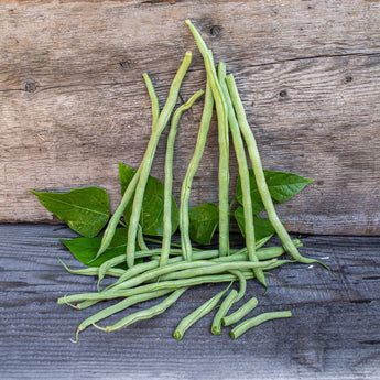 Fortex Pole Bean (60 Days) - Vegetables