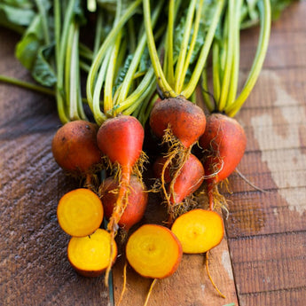 Golden Beet (Heirloom 55 Days) - Vegetables