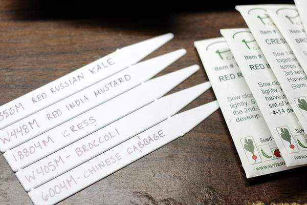 Plastic seed labels and seed packets on a table