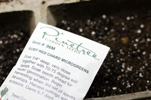 Microgreens seed packet in front of dirt filled planting containers