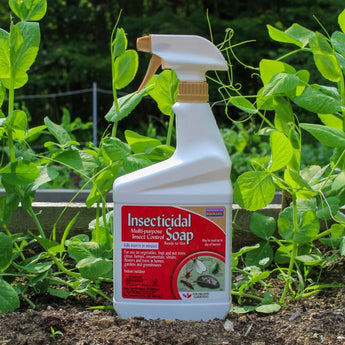 Insecticidal Soap Spray (32 OZ) - Garden Supplies