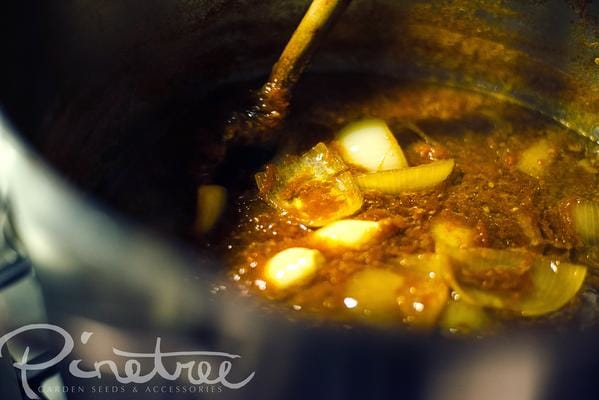 close up of bubbling sauce in pot with garlic and onion