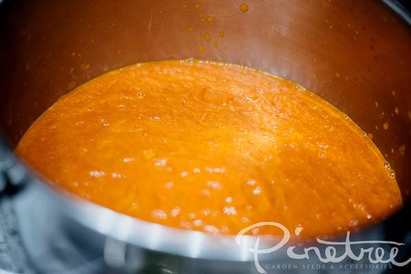 close up of blended sauce in food processor