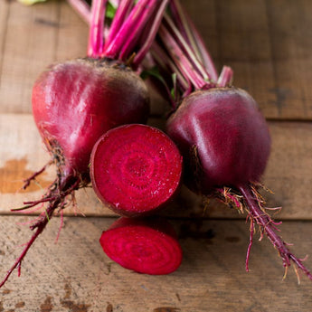 Lutz Winter Keeper Beet (Heirloom 80 Days) - Vegetables