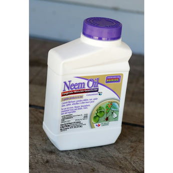 Neem Oil Concentrate (16 Oz.) - Supplies