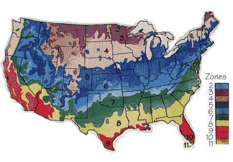 Onion Planting Zone Map