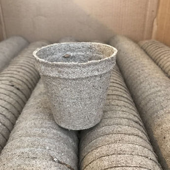 Peat Pots - 3 Round - Supplies