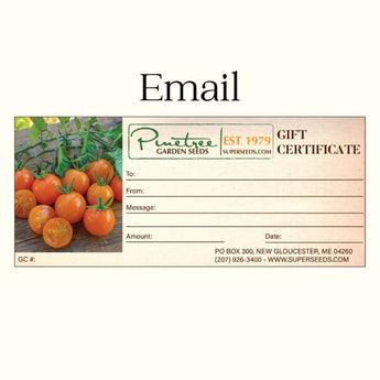 Pinetree Gift Certificate (Email) - Gift Card