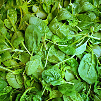 Pinetree Spinach Mix (1/2 oz) - Vegetables