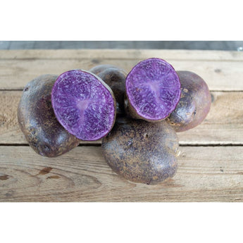 Potato ’Adirondack Blue’ - Vegetables