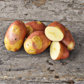 Potato ’Pinto Gold’ - Spring