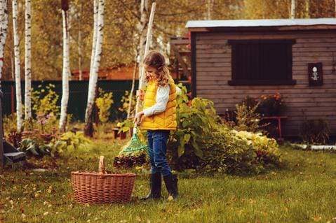 Fall Garden Cleanup via Pinetree Garden Seeds