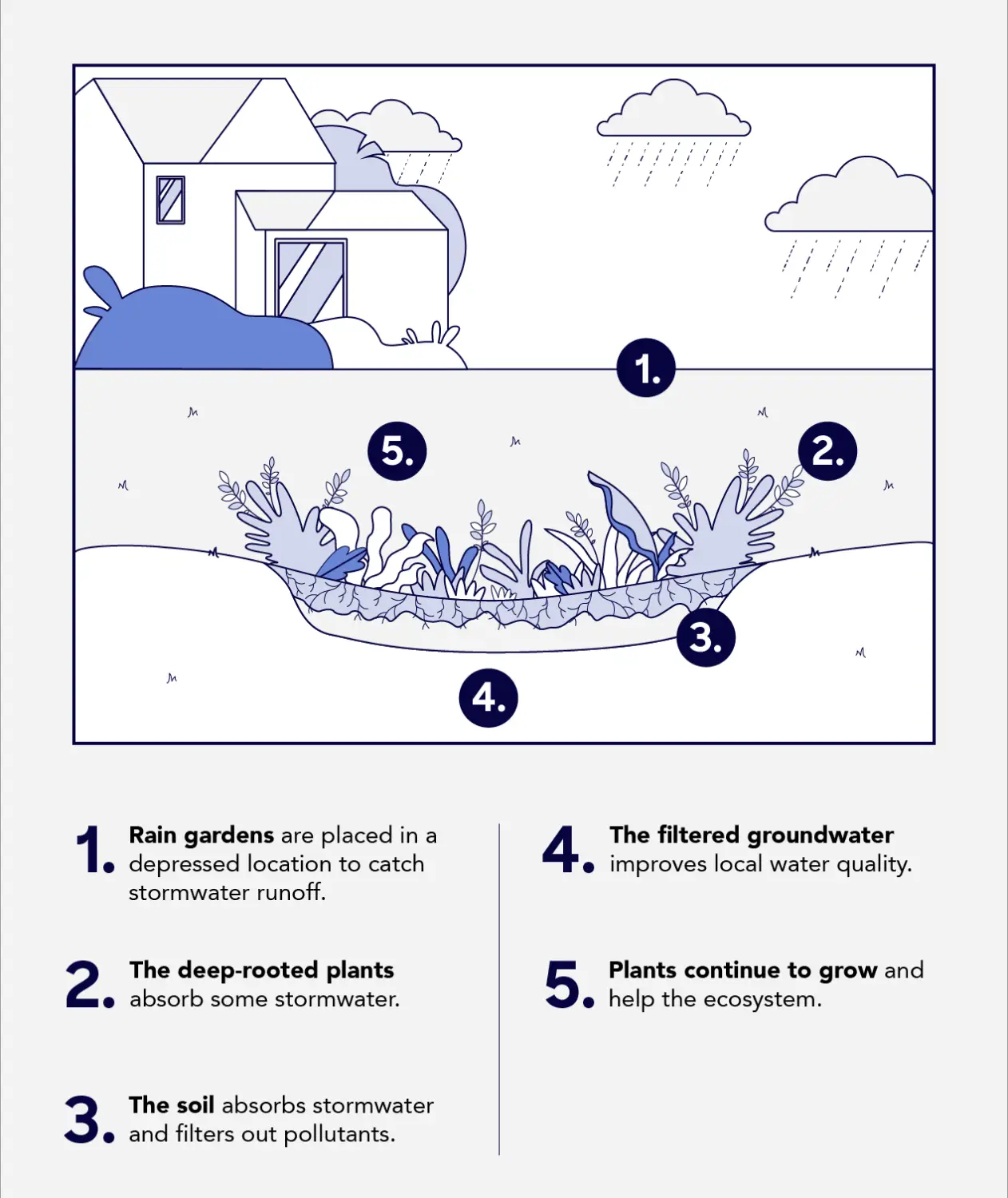 Rain garden diagram