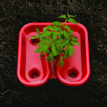 Red Tomato Trays (3) - Garden Supplies