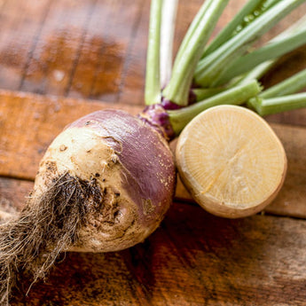 Rutabaga Helenor (100 Days) - Vegetables