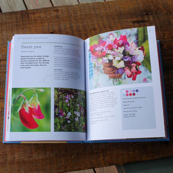 The Little Book of Cut-Flower Gardening - Books