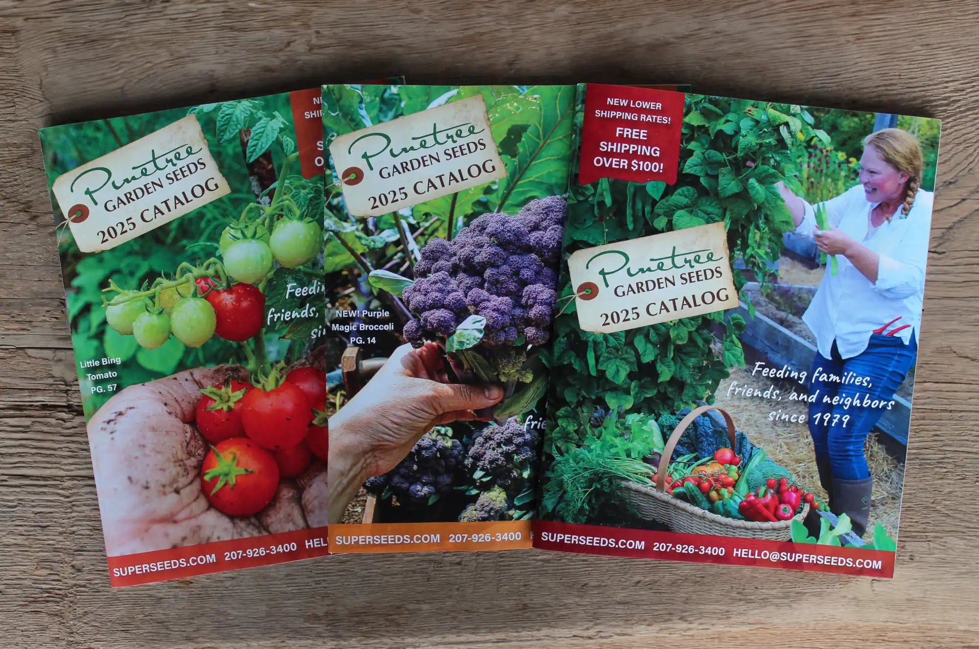 Three gardening seed catalogs spread out on a surface.